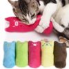 Teeth Grinding Cat Toys