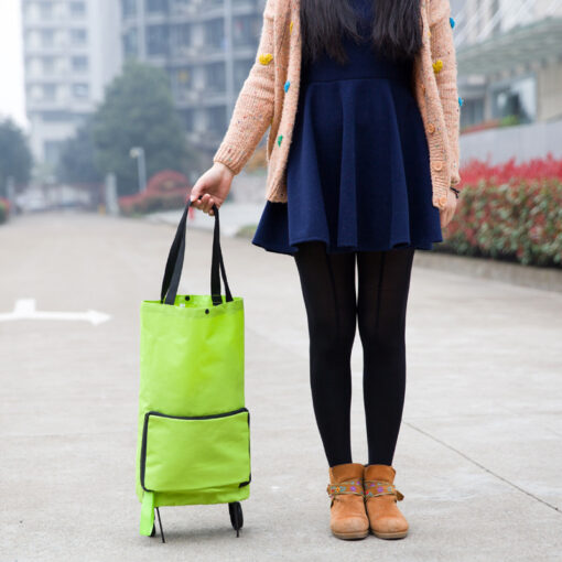 2-in-1 Rolling Shopping Bag - Image 9