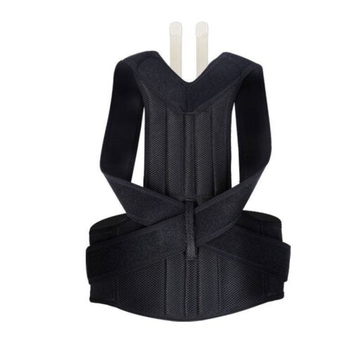 Back Support Braces - Image 5