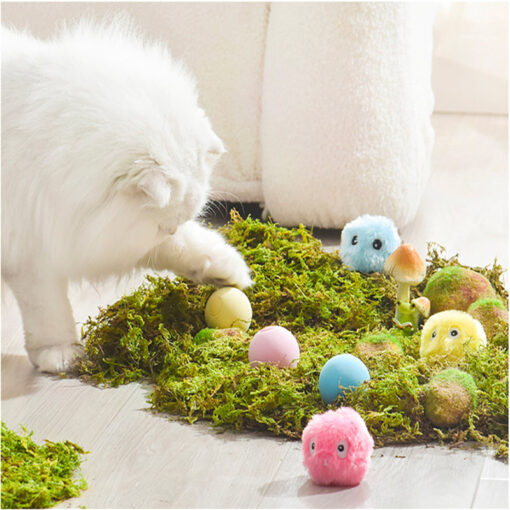 Cat LED Toy Ball - Image 3