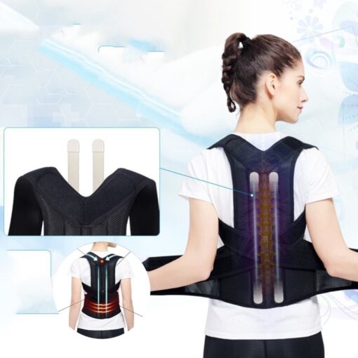 Back Support Braces - Image 3
